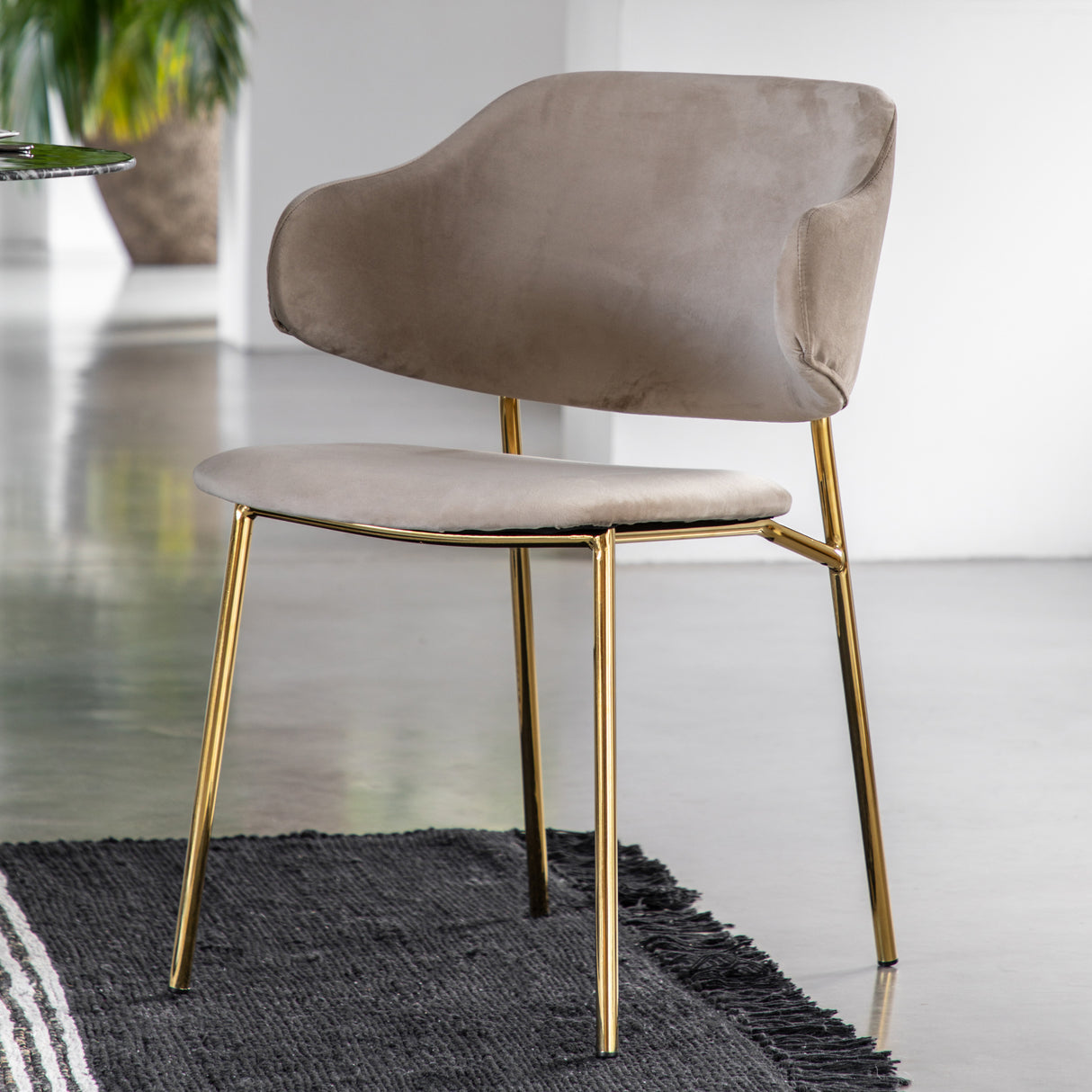 Amos Whitehall Dining Chair Taupe (2pk) – from Amos Lighting + Home