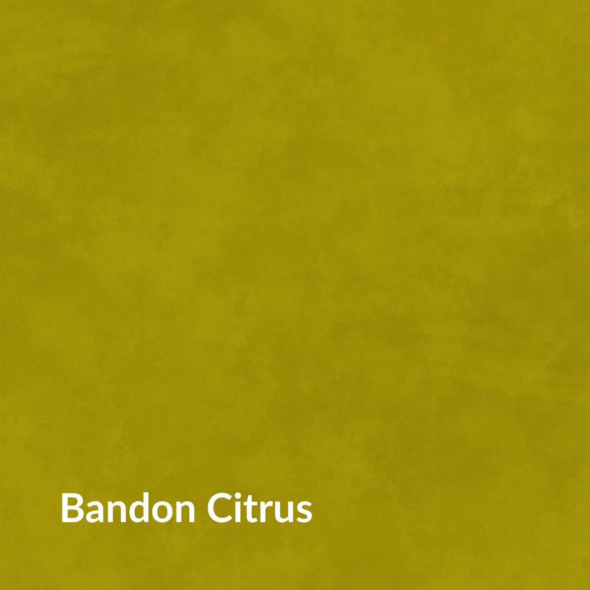 FREE Orla Kiely Fabric Samples