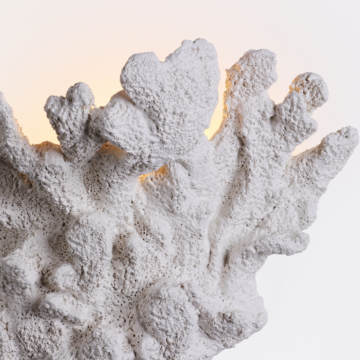 David Hunt Korallion Wall Light Matt White