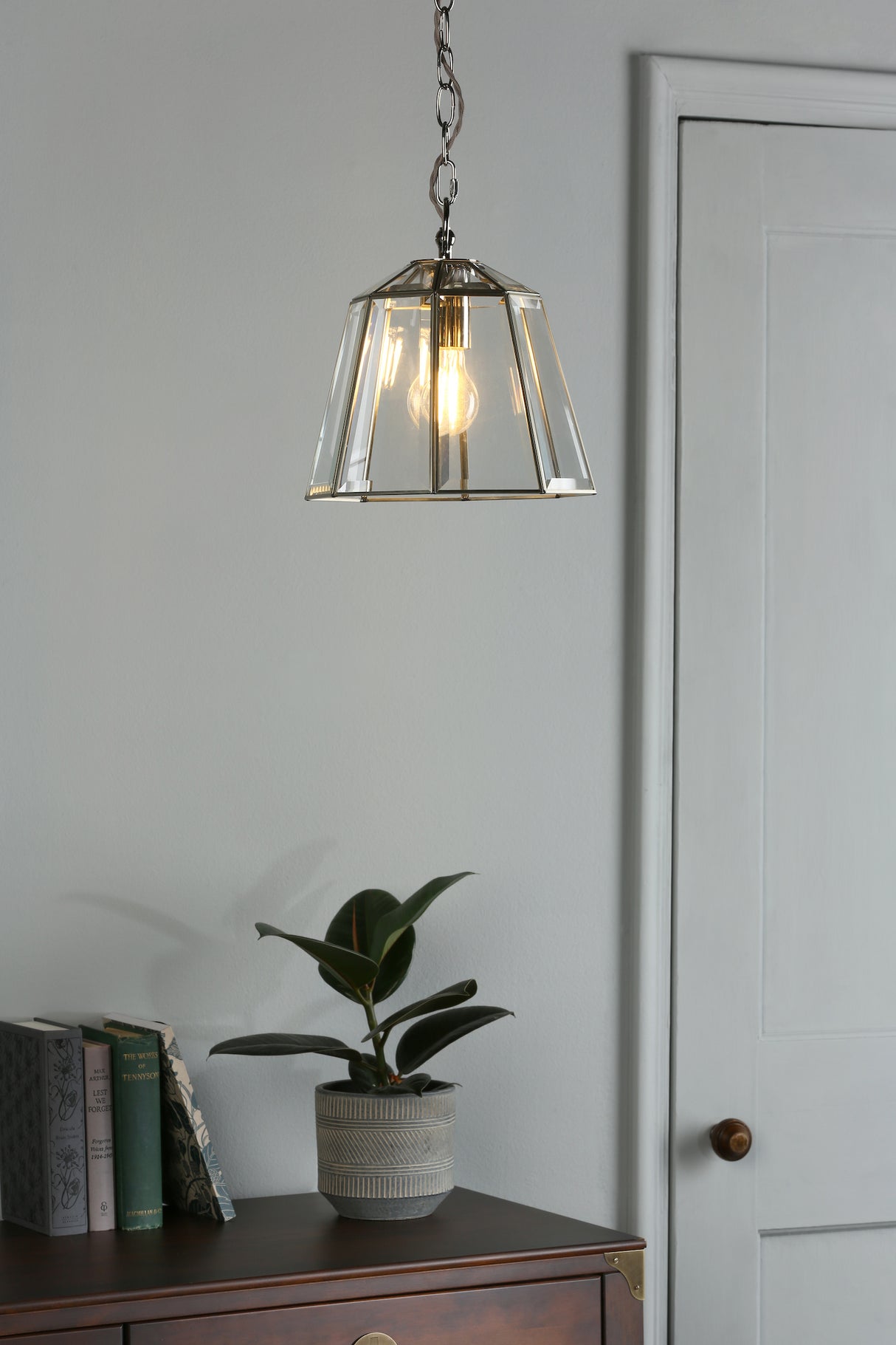 Modern hanging glass pendant light illuminating a potted rubber plant and books on a wooden cabinet