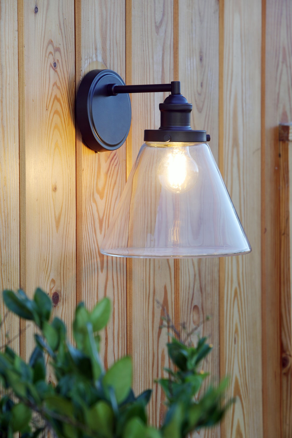 Modern black outdoor wall sconce with clear glass shade on wooden fence with green plants