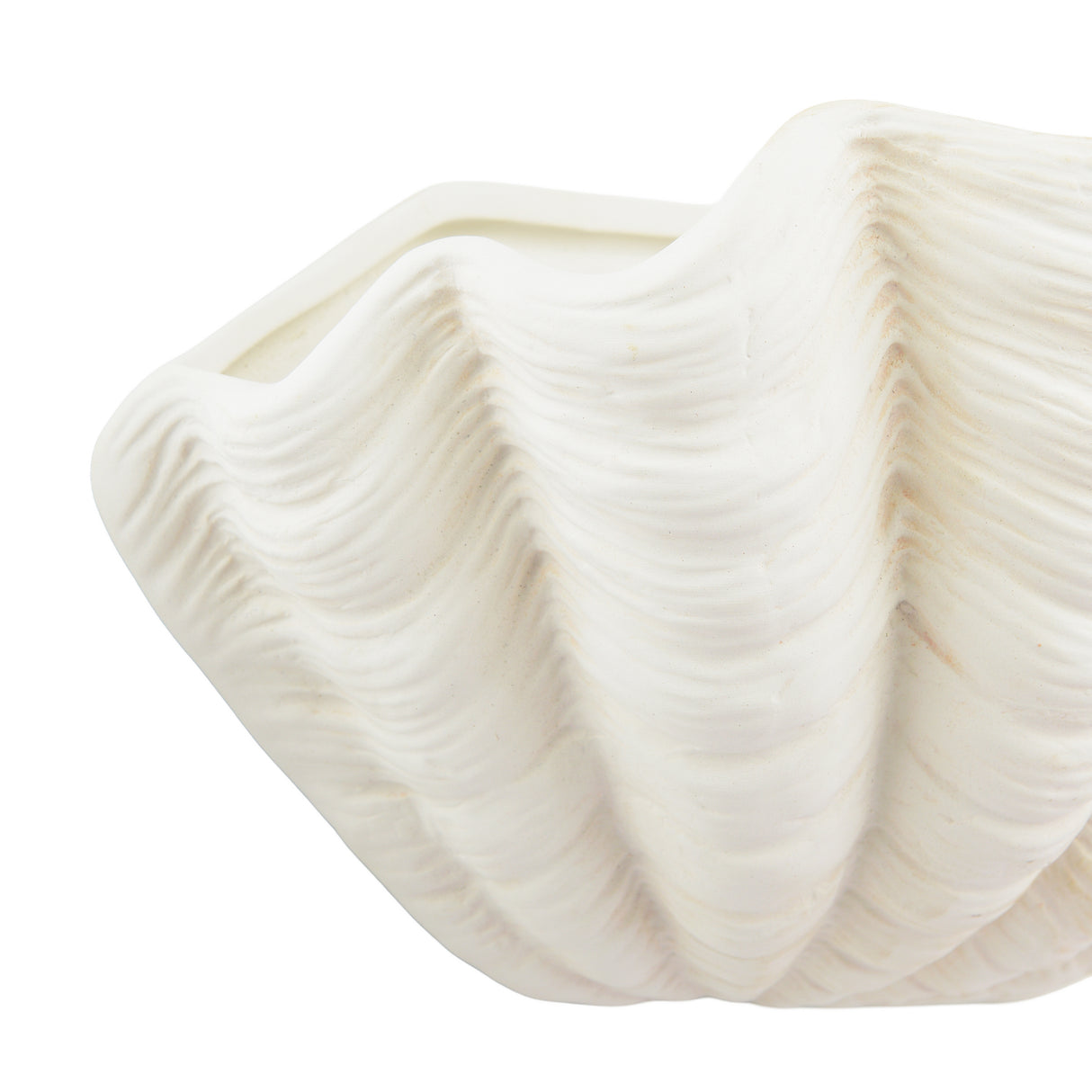 Laura Ashley Shell Wall Washer White Ceramic