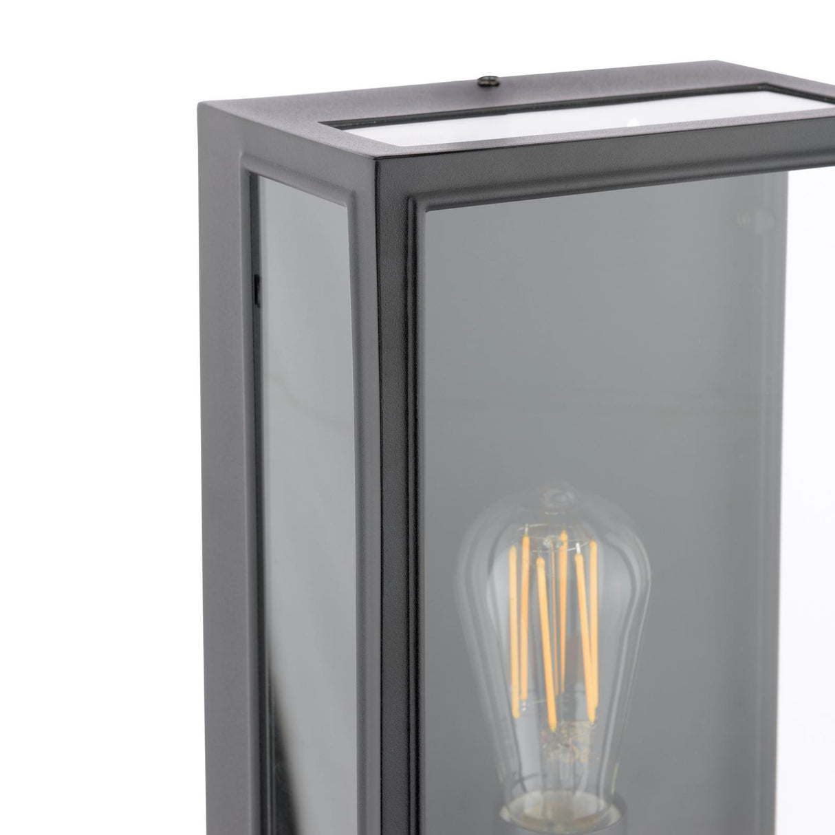 Dar Mazin Outdoor Wall Light Matt Black and Glass IP44
