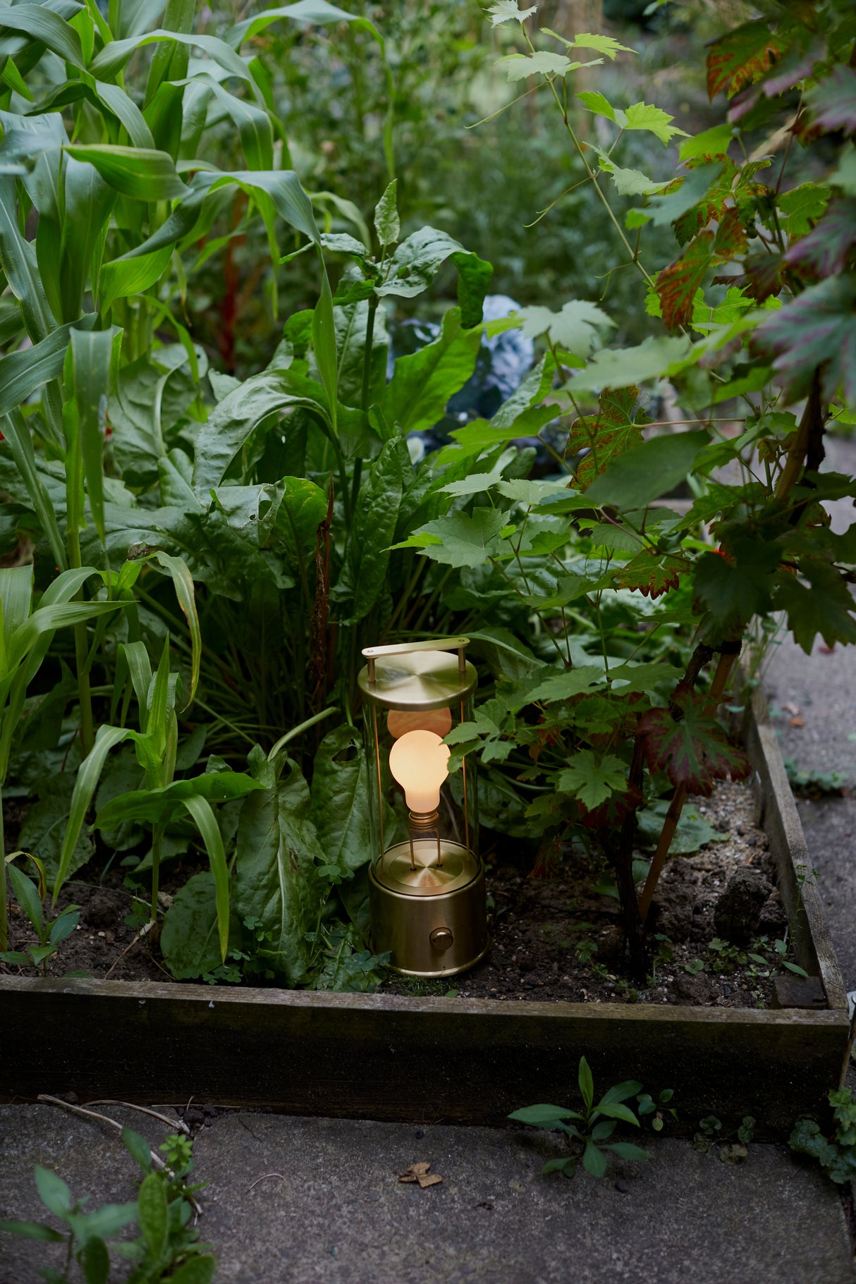 Tala Muse Portable Lamp Solid Brass