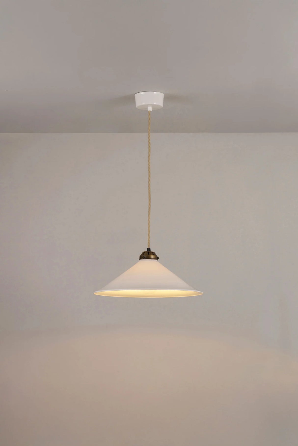 Pendant light fixture hanging from a ceiling against a plain background