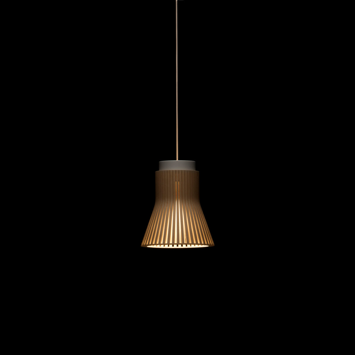 Secto Petite 4600 Pendant