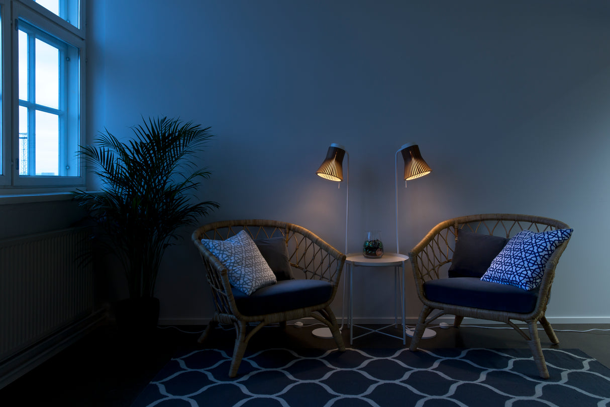 Secto Petite 4610 Floor Lamp