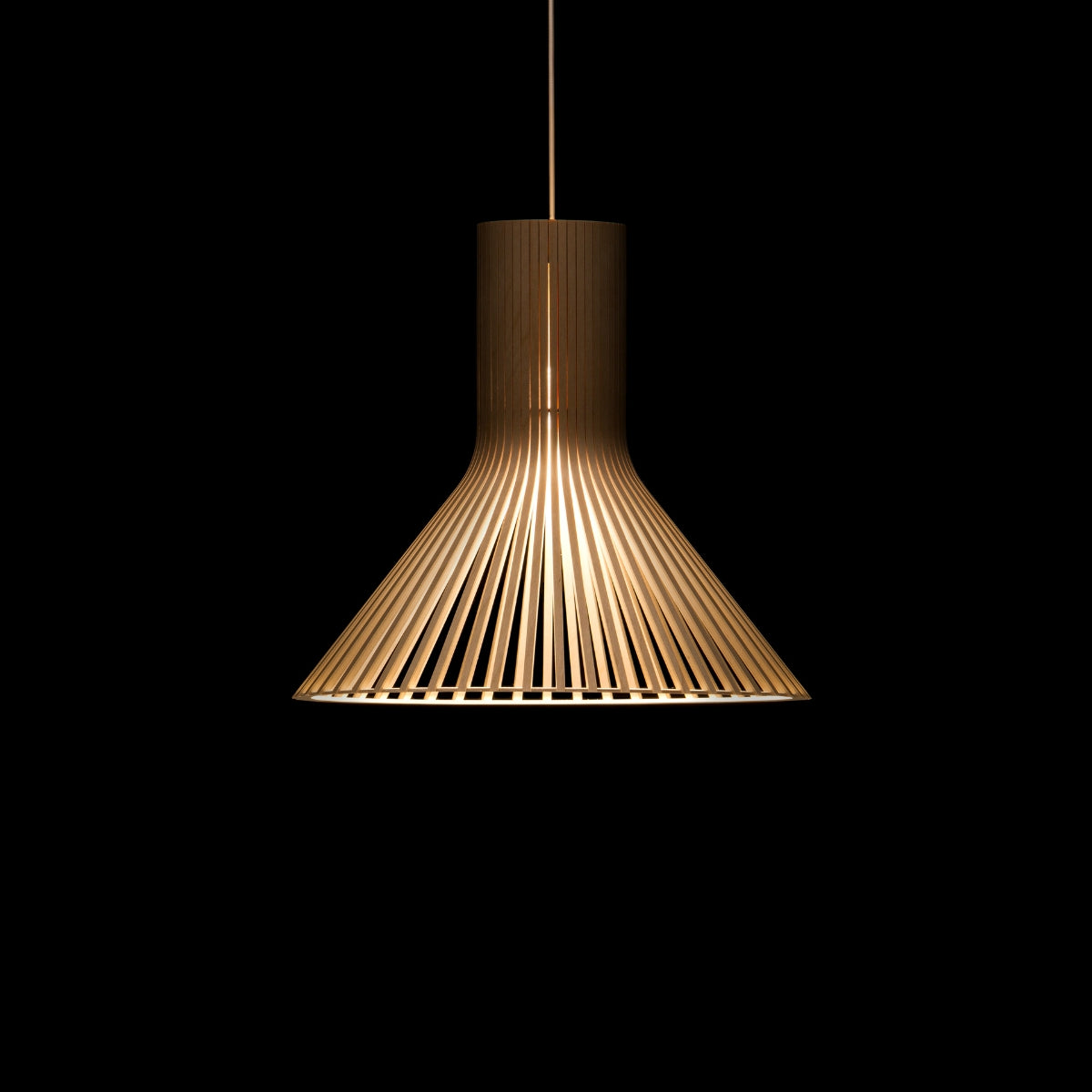 Secto Puncto 4203 Pendant