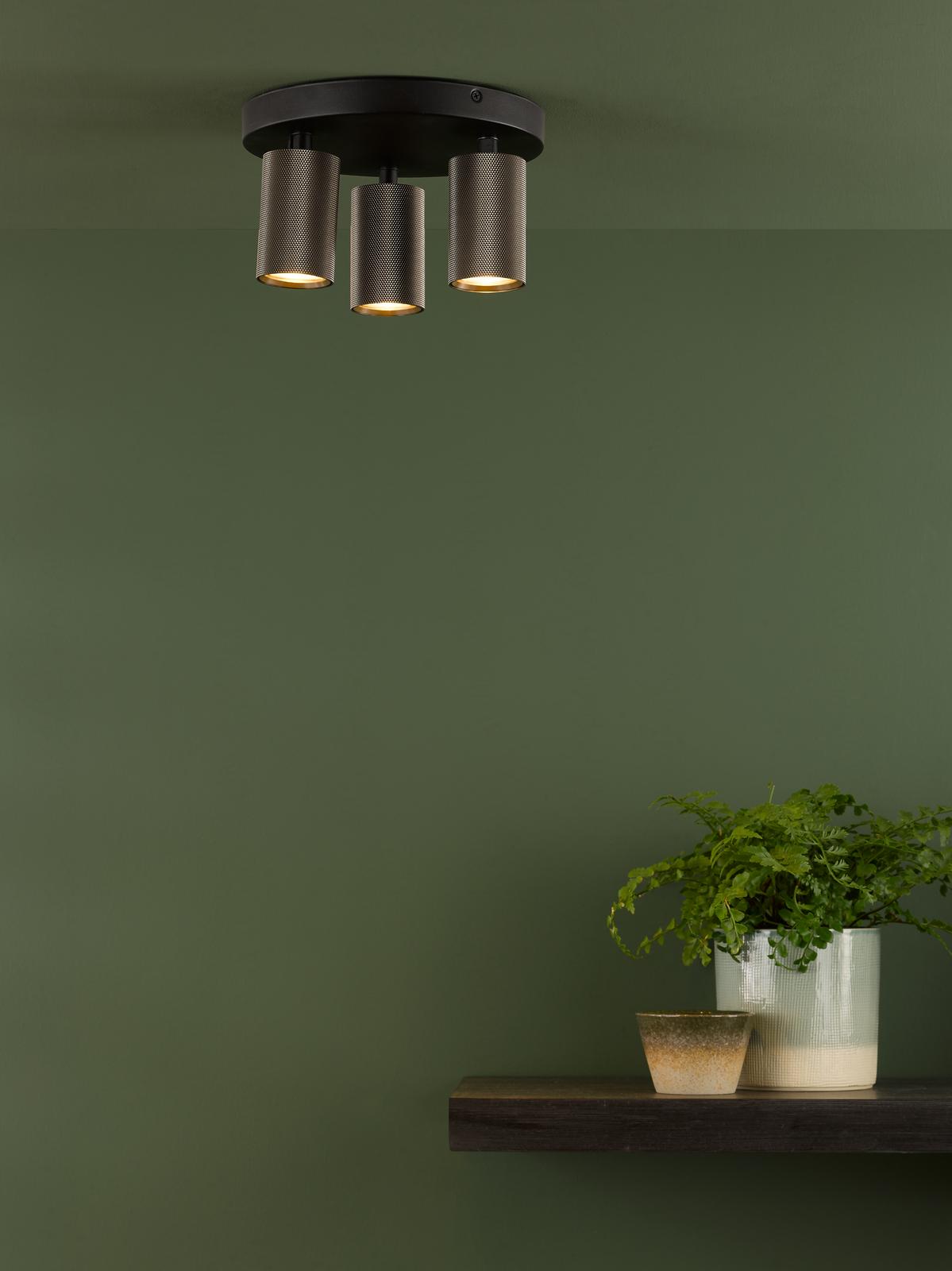 Dar Yamis 3 Light Plate Spotlight Satin Bronze and Matt Black