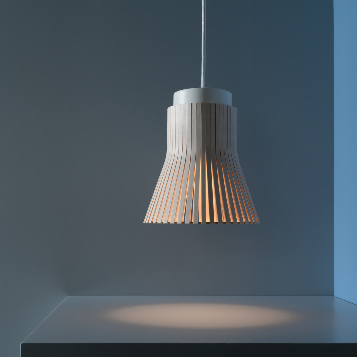 Secto Petite 4600 Pendant