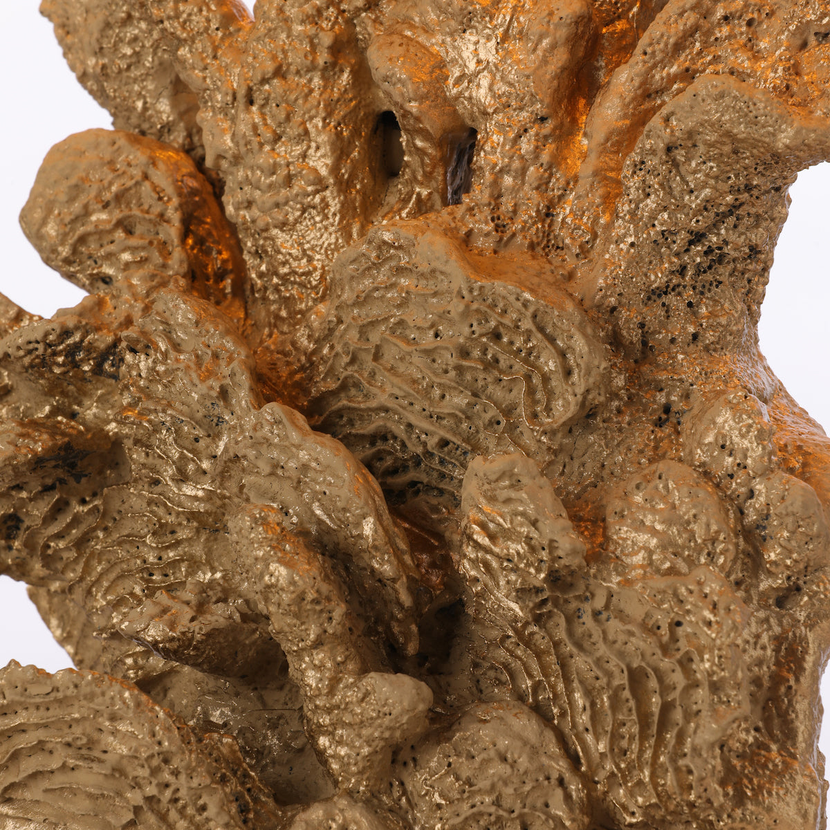 David Hunt Korallion Table Lamp Black / Gold Base – from Amos Lighting + Home