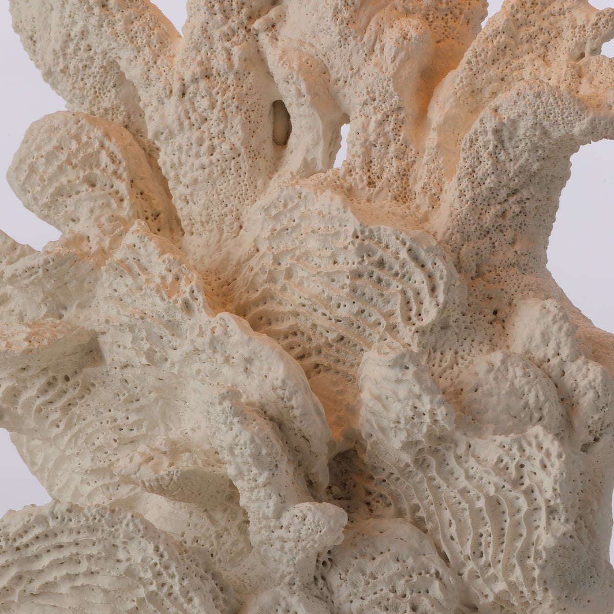 David Hunt Korallion Table Lamp White Base – from Amos Lighting + Home