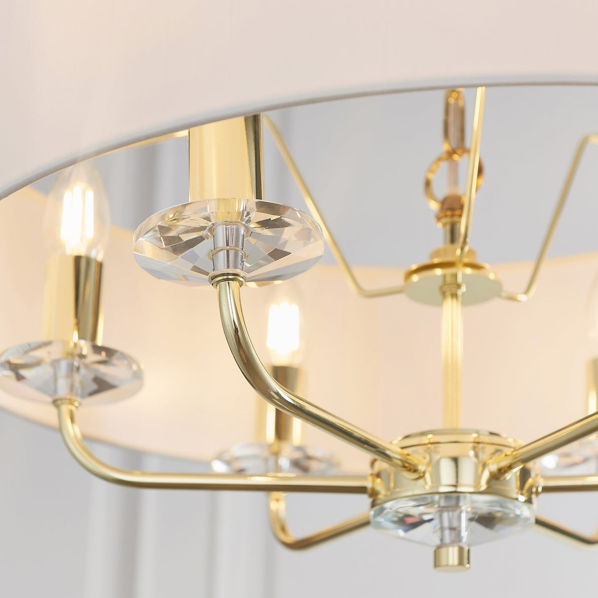 Amos Nixon 6lt Pendant Brass – from Amos Lighting + Home