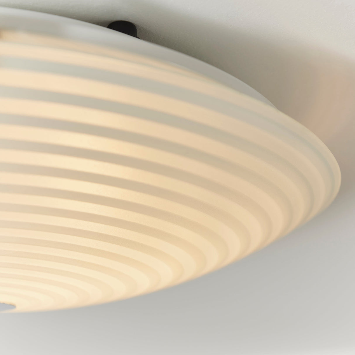 Amos Roundel 2lt Flush Ceiling Light – from Amos Lighting + Home