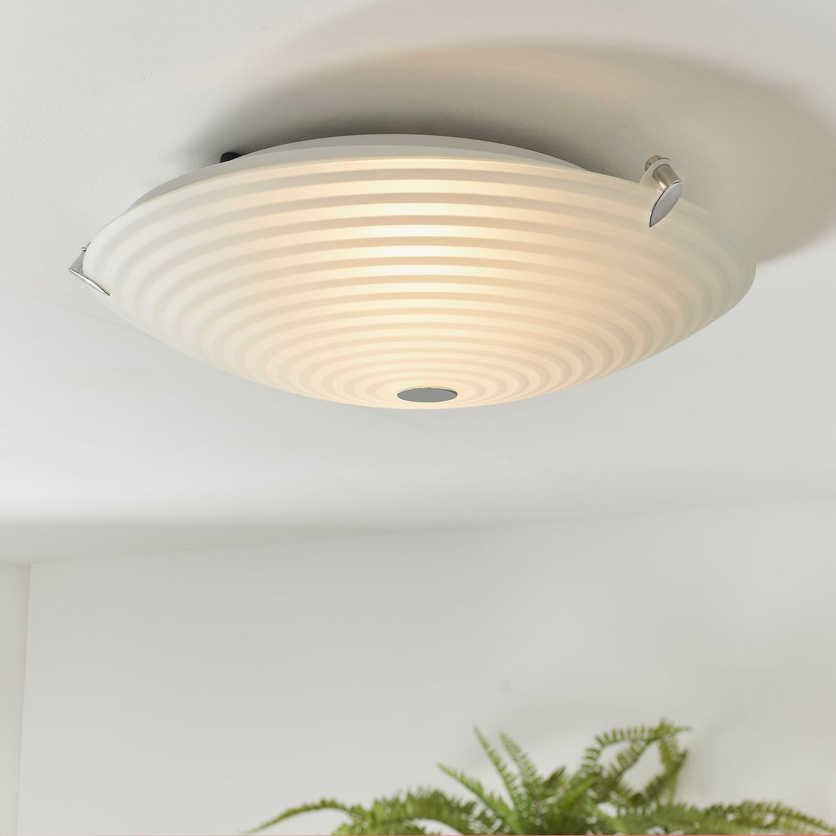 Amos Roundel 2lt Flush Ceiling Light – from Amos Lighting + Home