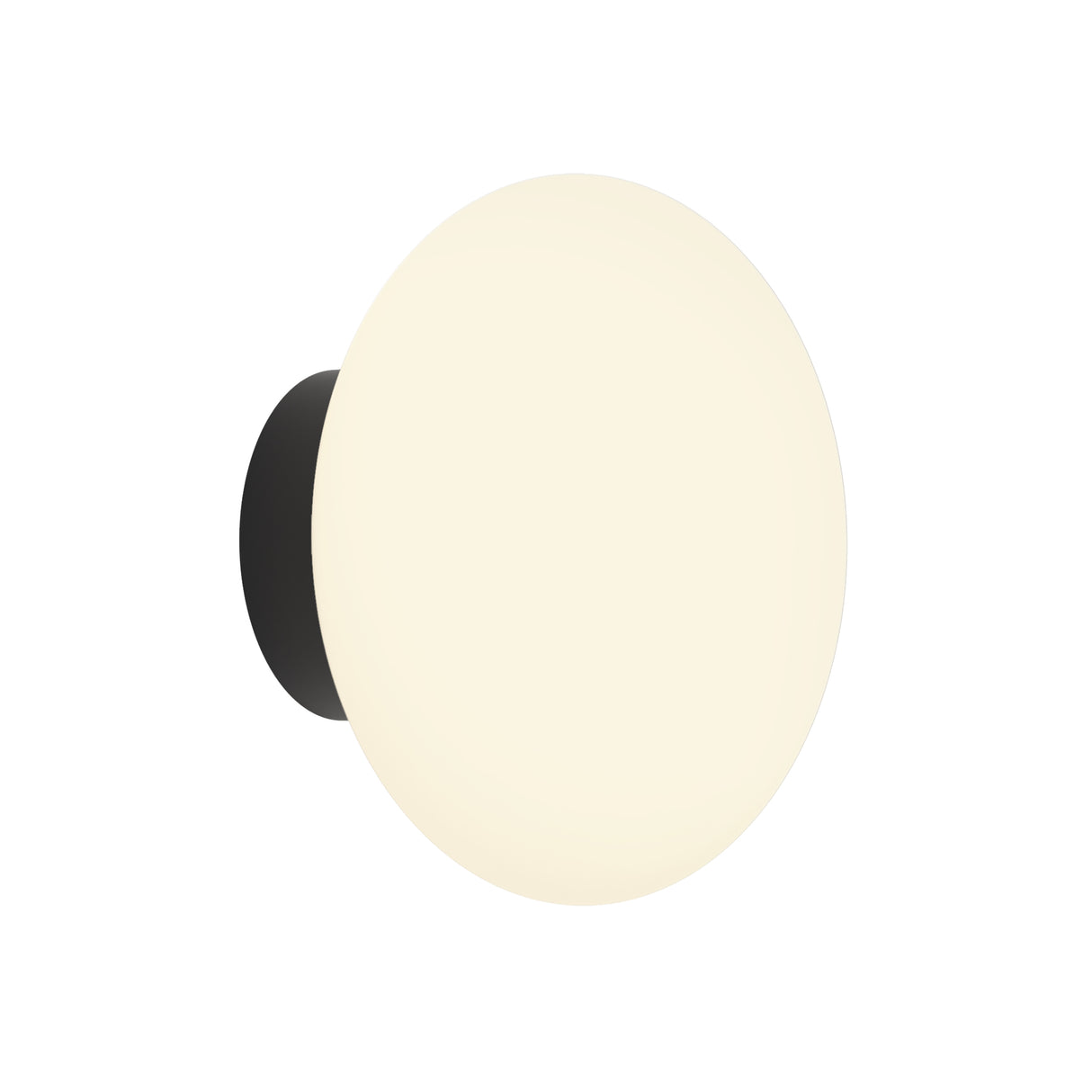 Astro Zeppo Wall Matt Black Bathroom Wall Light