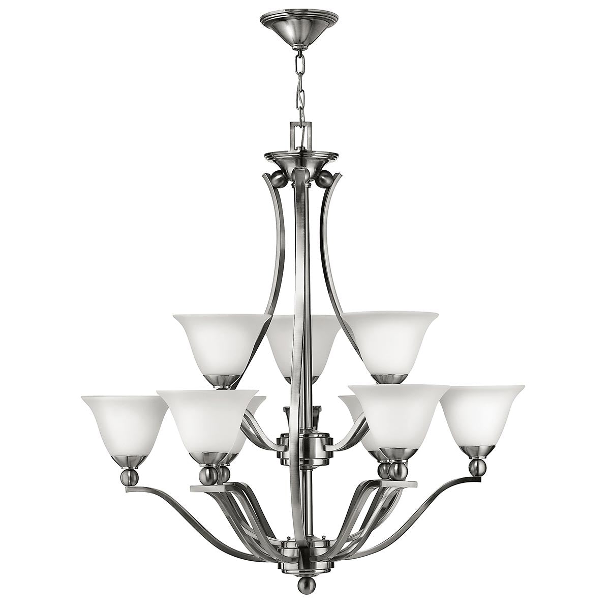 Hinkley Bolla 9 Light Chandelier