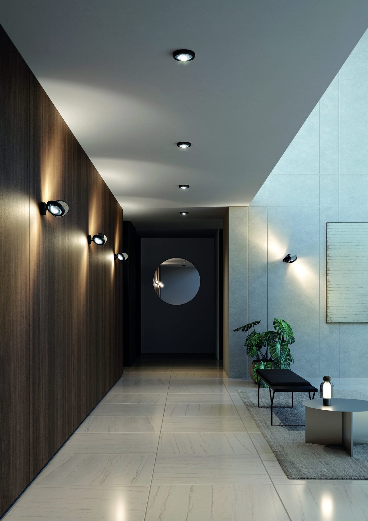 Lodes Nautilus Mini Wall Light – from Amos Lighting + Home
