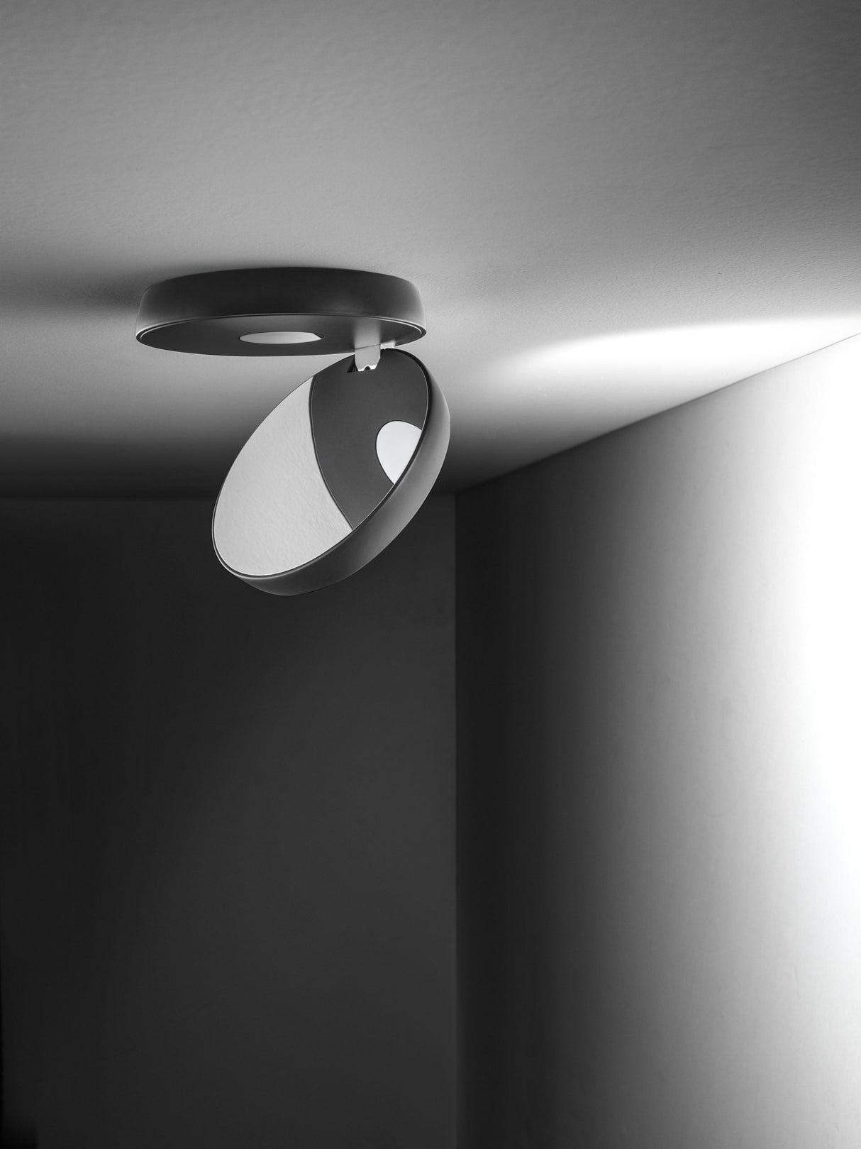 Lodes Nautilus Ceiling Light – from Amos Lighting + Home
