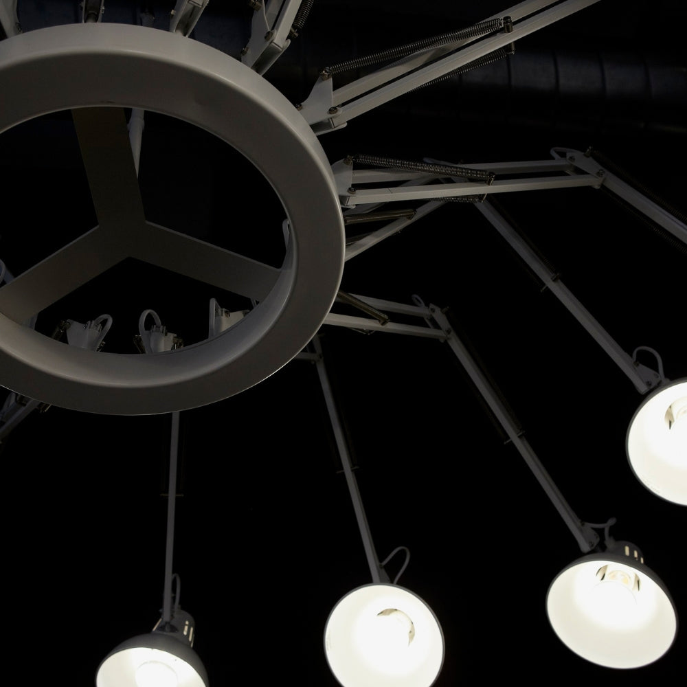 Moooi Dear Ingo Giant Spider Chandelier Pendant Black – from Amos Lighting + Home