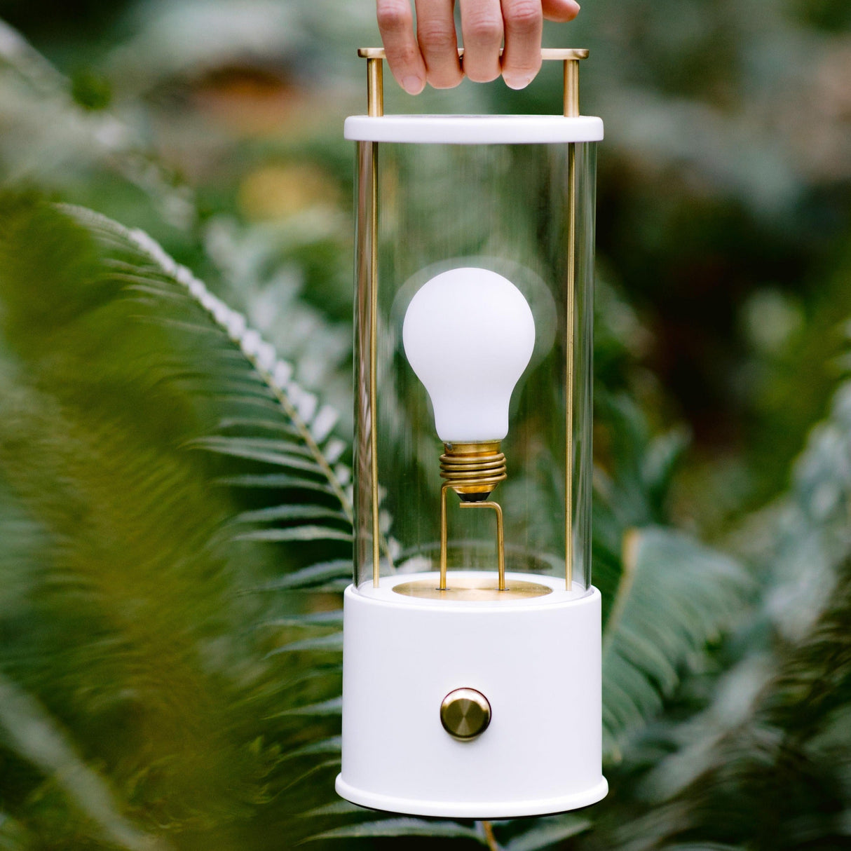 Hand holding Tala Muse portable lamp with white base and glass cover among green foliage
