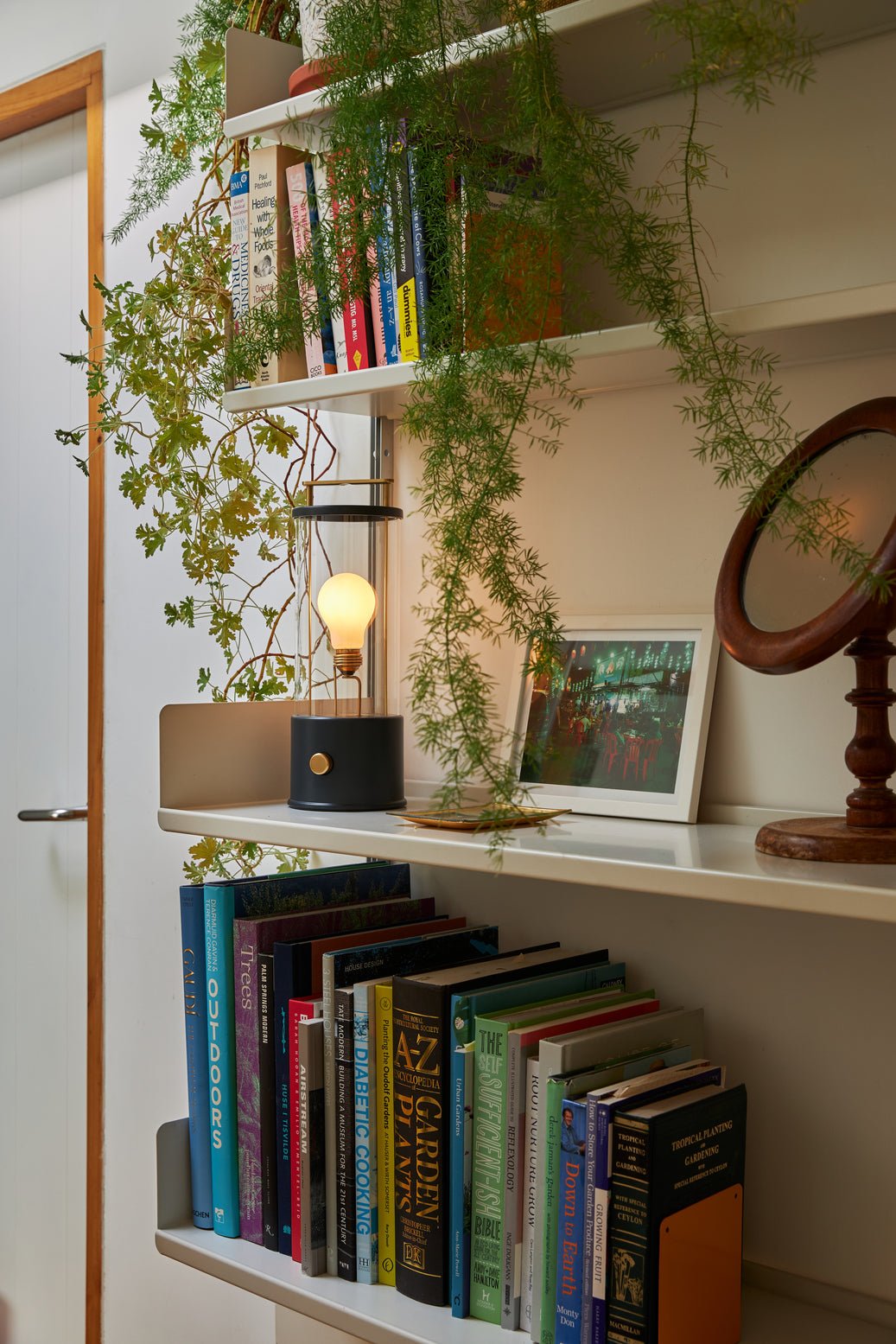 Tala Muse Portable Lamp in Farrow & Ball Hackles Black – from Amos Lighting + Home