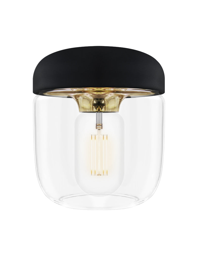 Umage Acorn Black & Polished Brass – from Amos Lighting + Home