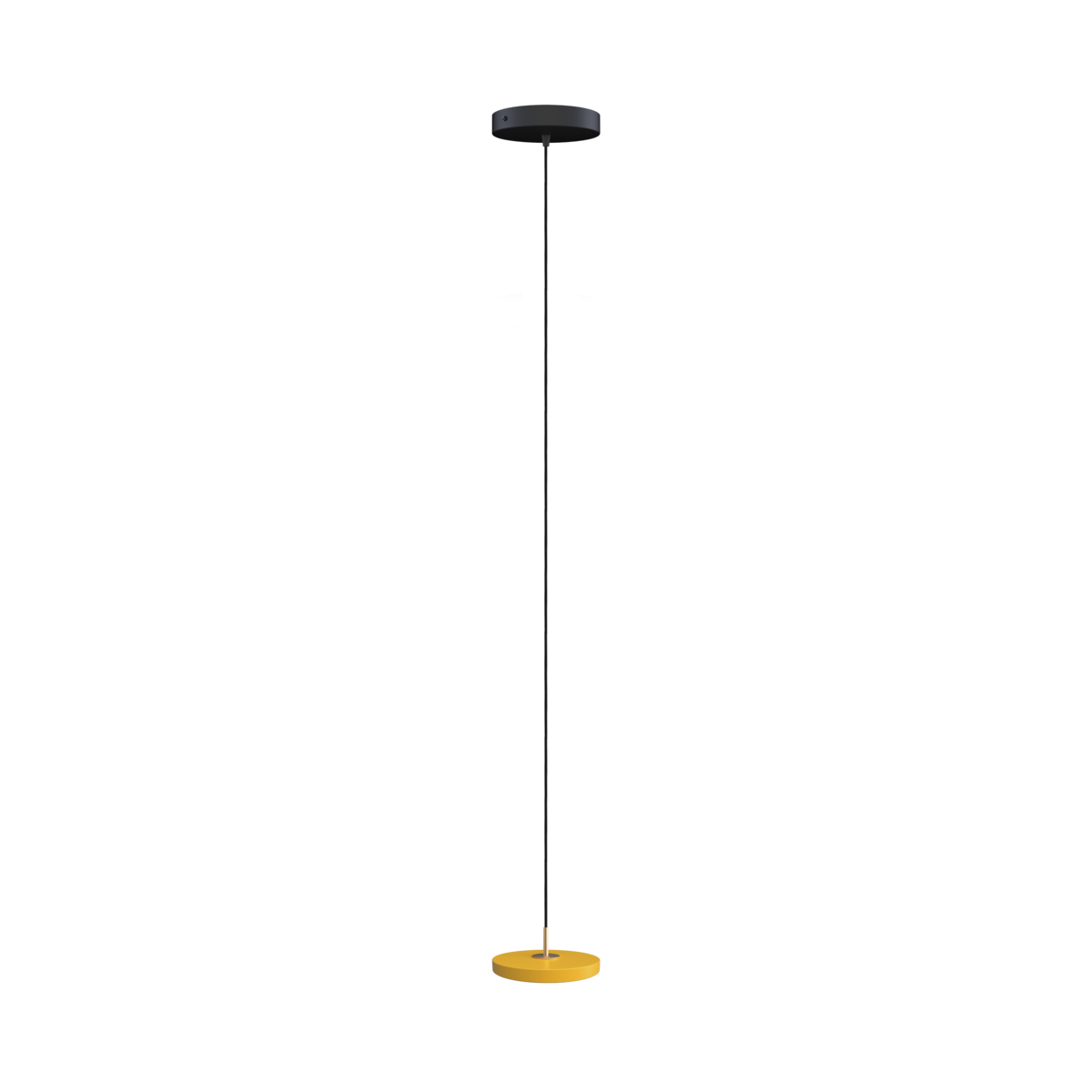 Umage Asteria Micro Pendant- Brass Top – from Amos Lighting + Home
