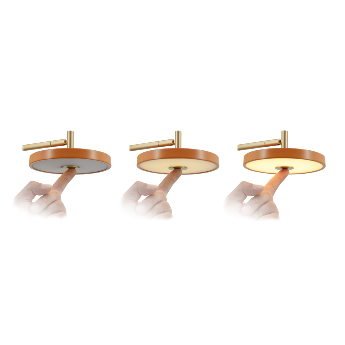 Umage Asteria Wall Light Short – from Amos Lighting + Home