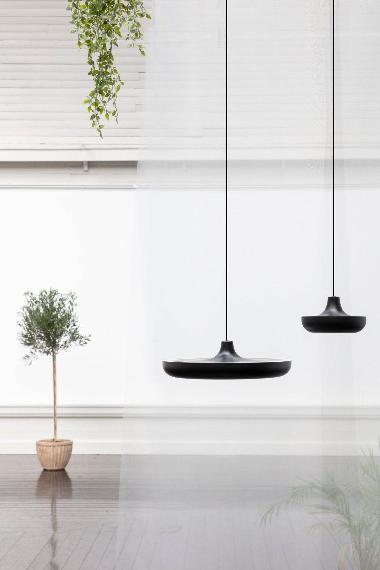 Umage Cassini Pendant Medium, Black – from Amos Lighting + Home