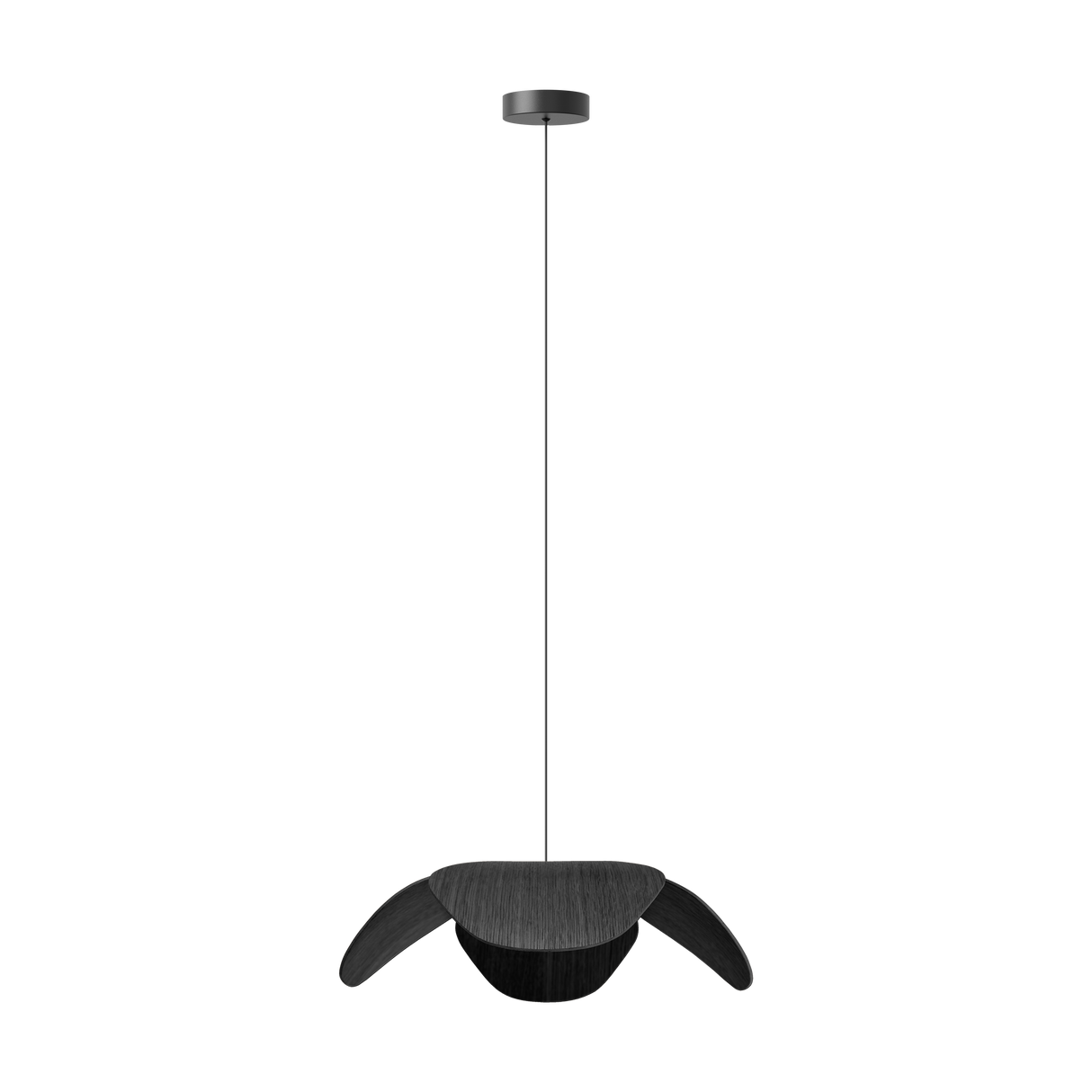 Umage Forget Me Not Wood Pendant Large, Black Oak – from Amos Lighting + Home