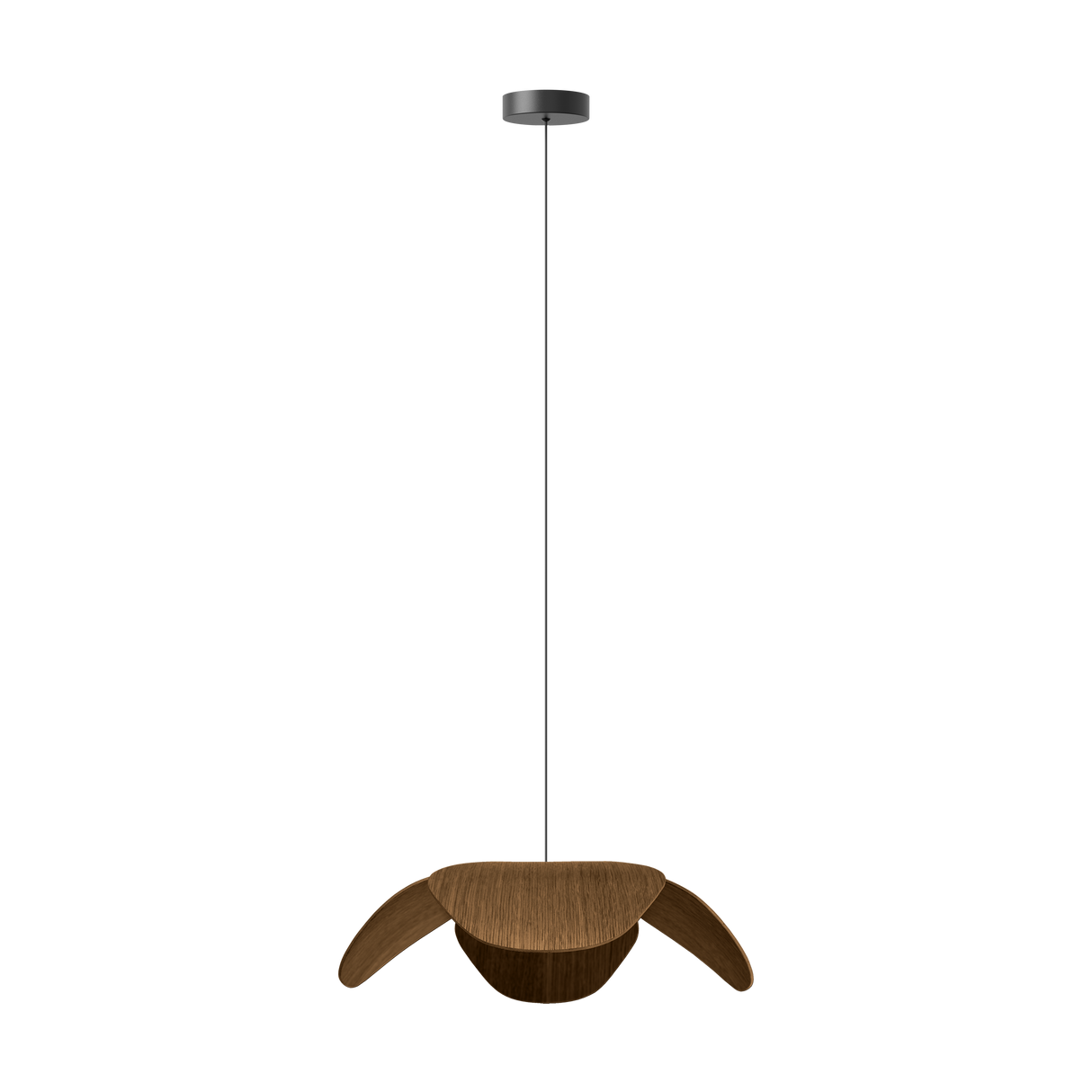 Umage Forget Me Not Wood Pendant Large, Dark Oak – from Amos Lighting + Home