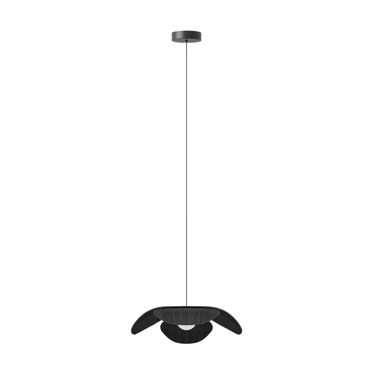 Umage Forget Me Not Wood Pendant Medium, Black Oak – from Amos Lighting + Home