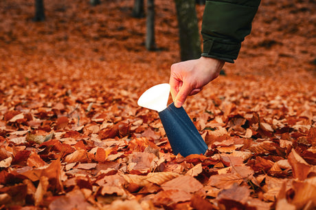 Hand holding small modern outdoor lantern glowing amid fallen autumn leaves in forest
