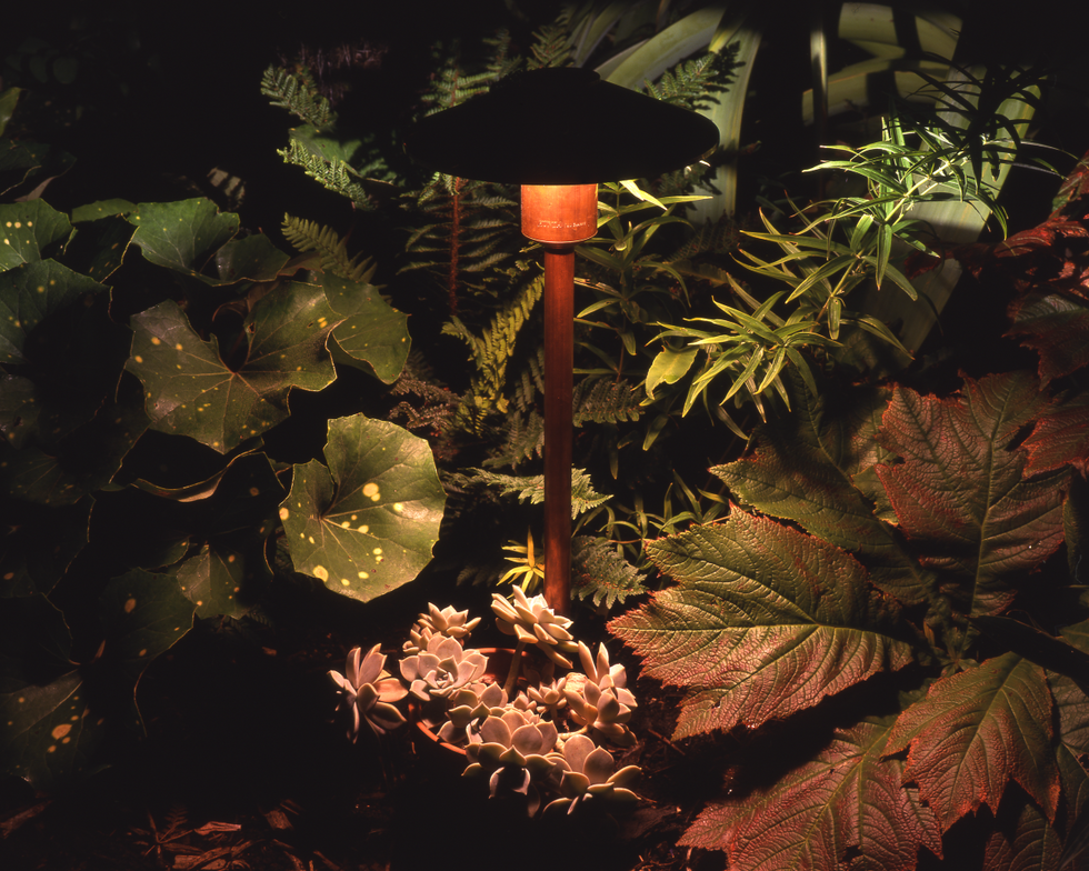 Outdoor Lighting That Protects Wildlife: A Guide to Low-Impact Design ...