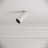 Orluna Cloud Mini Butterfly Spotlight