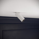 Orluna Cloud Butterfly Spotlight