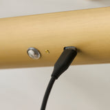 Endon Nantes Rechargeable Picture Light Warm brass plate & frosted pc