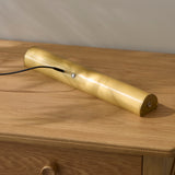 Endon Nantes Rechargeable Picture Light Warm brass plate & frosted pc