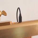 Endon Dalyan Rechargeable Picture Light Warm brass plate & frosted pc