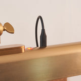 Endon Lasos Rechargeable Picture Light Warm brass plate & frosted pc
