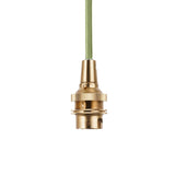 Endon Eltham & Leaf 40cm Pendant Brushed aged brass plate & herb garden green fabric