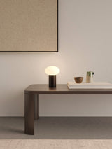 Astro Zeppo Portable Matt Black Interior Portable Light