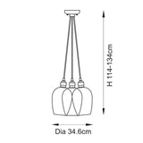 Amos Lucid Bright Nickel & Clear Glass 3 Light Cluster
