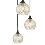 Dar Federico 5 Light Cluster Pendant Black Clear/Wire Glass –  from Amos Lighting + Home