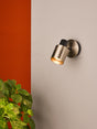 Dar Ryan Single Spotlight Brushed Nickel & Matt Black –  from Amos Lighting + Home