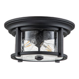Feiss Merrill 2 Light Flush Black