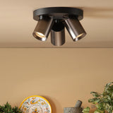 Dar Hiro 3 Light Plate Spotlight Satin Bronze and Matt Black
