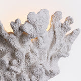David Hunt Korallion Wall Light Matt White