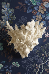 David Hunt Korallion Wall Light Matt White